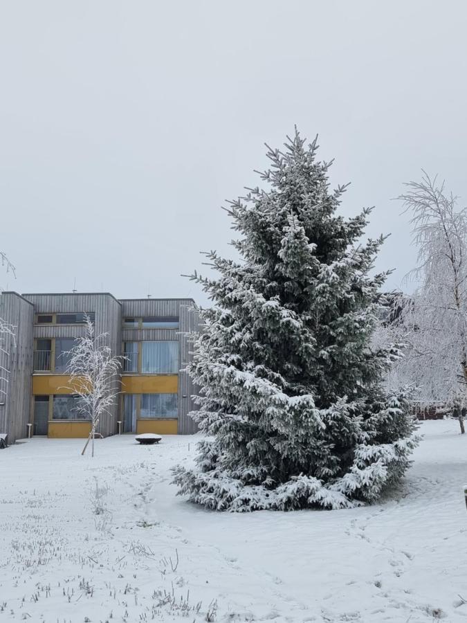 Apartment Max Loučná pod Klínovcem Buitenkant foto